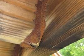 Not ACQ approved, Corrosion of a joist hanger