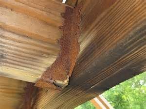 Not ACQ approved, Corrosion of a joist hanger